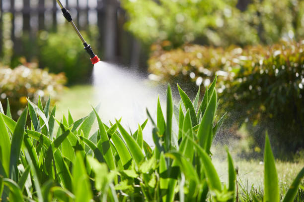 Tamper-Resistant Bait Stations for Rodents in Serenada