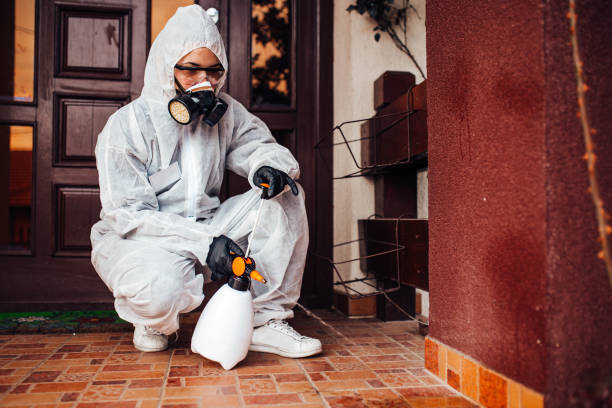 Attic and Crawl Space Rodent Treatment in Serenada