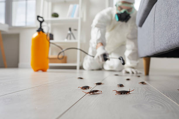 Commercial Rodent Management in Serenada